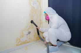 Biohazard Mold Removal